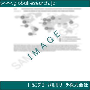 グローバルリサーチ調査資料のイメージ